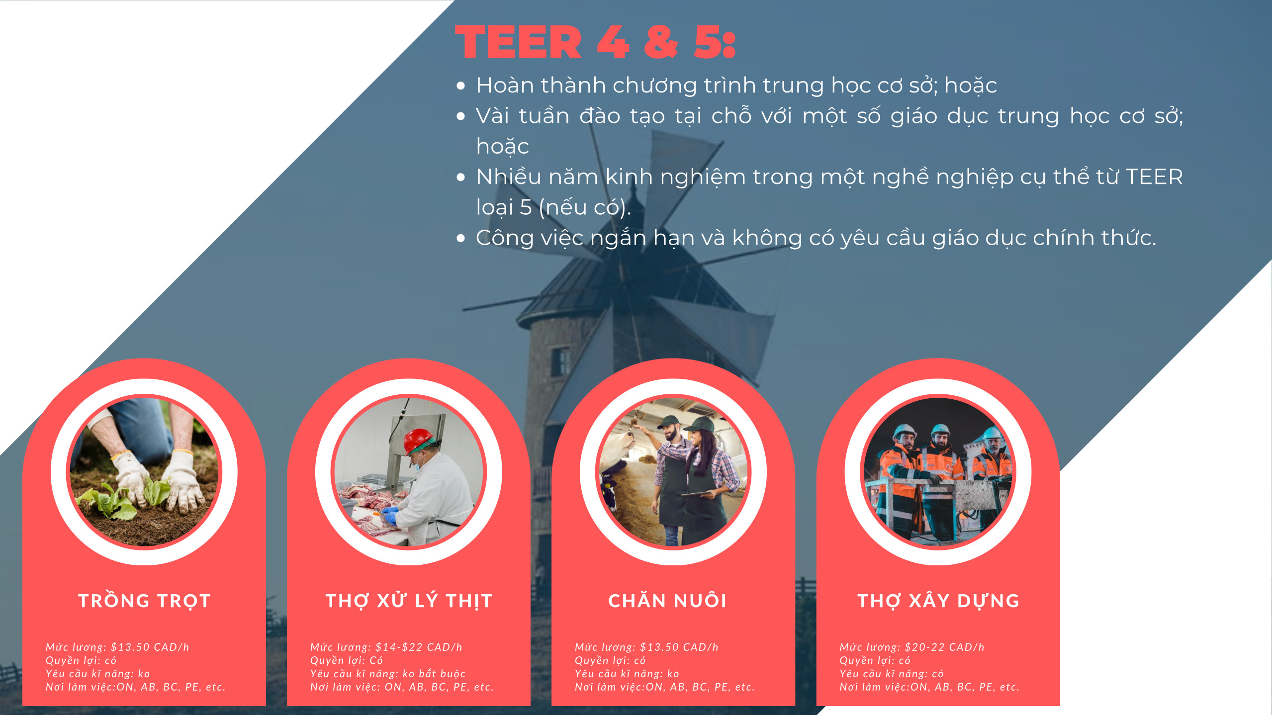 TEER 4 & 5:-slide-4.jpg